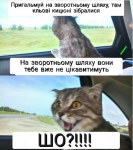 upload_2020-3-10_9-39-56.png