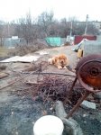 IMG_20200221_080658.jpg