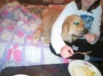 IMG_20200225_212512.jpg