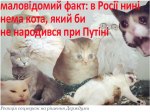 upload_2020-3-10_17-11-49.png