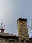 IMG_20181117_124425.jpg