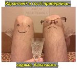 imagebe261b08cd343d412f487ba90a1e2c52-V.jpg