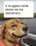 upload_2020-4-6_19-55-46.png