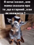 upload_2020-4-21_20-55-37.png