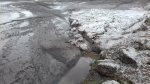 20200504_175249.jpg