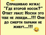 e5380974f1171f7fa6ae637f0b3baa4e532ad9a9a9cb65eb3b17e159401c5190_1-1.jpg
