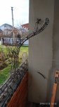 IMG_20191113_123253.jpg