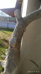 IMG_20191117_143019.jpg