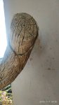 IMG_20191117_143010.jpg