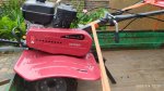 IMG_20200704_122025.jpg