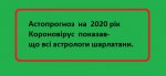 976.jpg