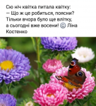 upload_2020-9-2_21-31-28.png