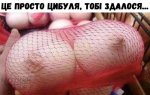 цибуля.jpg