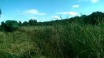 IMAG0379.jpg