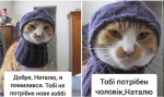 upload_2020-11-17_22-10-13.png