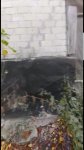 Screenshot_20201122-115716_Video Player.jpg