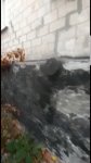 Screenshot_20201122-115756_Video Player.jpg