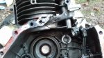 20201026_164322.jpg