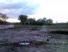 SNC00218-1.jpg