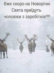 Без названия (4).jpeg