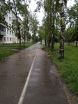 2020-06-05_07-00-12_-_scooter.jpg
