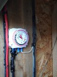 IMG_20201123_101711.jpg
