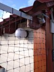 IMG_20201123_101652_1.jpg
