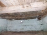 20201206_153105.jpg