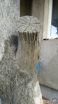 IMG_20200511_200705.jpg