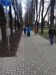 2021-04-19_17-28-27_-_scooter.jpg