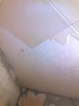 Фото4253.jpg