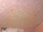 Фото4260.jpg