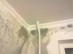 Фото4347.jpg