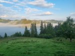 зображення_viber_2022-09-08_07-50-15-934.jpg