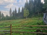 зображення_viber_2022-09-08_08-57-26-604.jpg