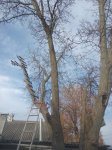 IMG_20231103_141639.jpg