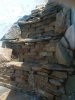 DSC00356.JPG
