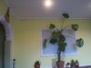 P8250016.JPG