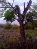 26-09-09_1722.jpg