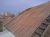 24-10-09_1122.jpg