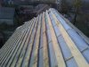 01-11-09_1547.jpg