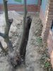 DSC01805.JPG