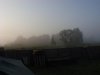 SN852333.jpg