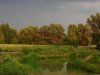SN852325.jpg