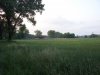 SN852298.jpg