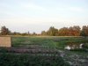 SN852290.jpg