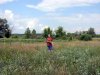 SN852276.jpg