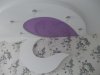 DSCN0059.jpg