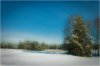 DSC_4235.jpg
