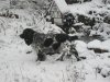 таша-пруд-зима.jpg